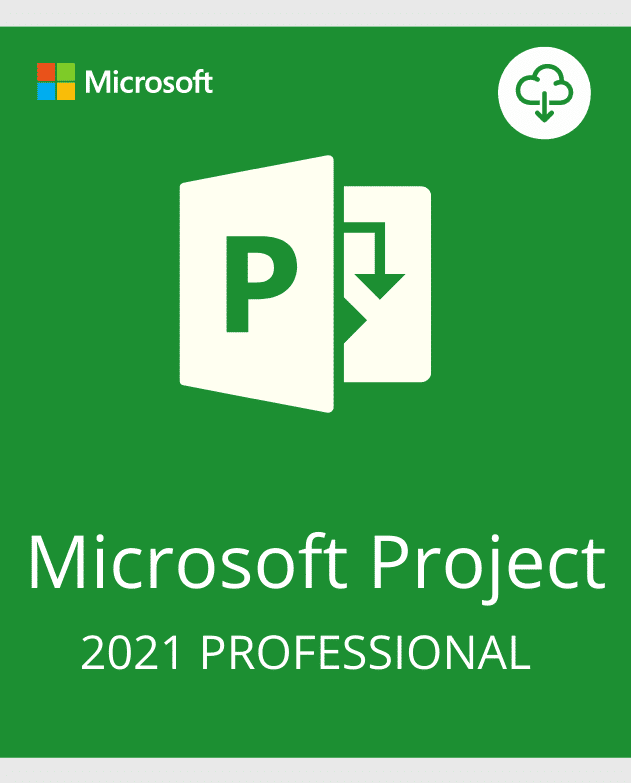 Project Professional 2021